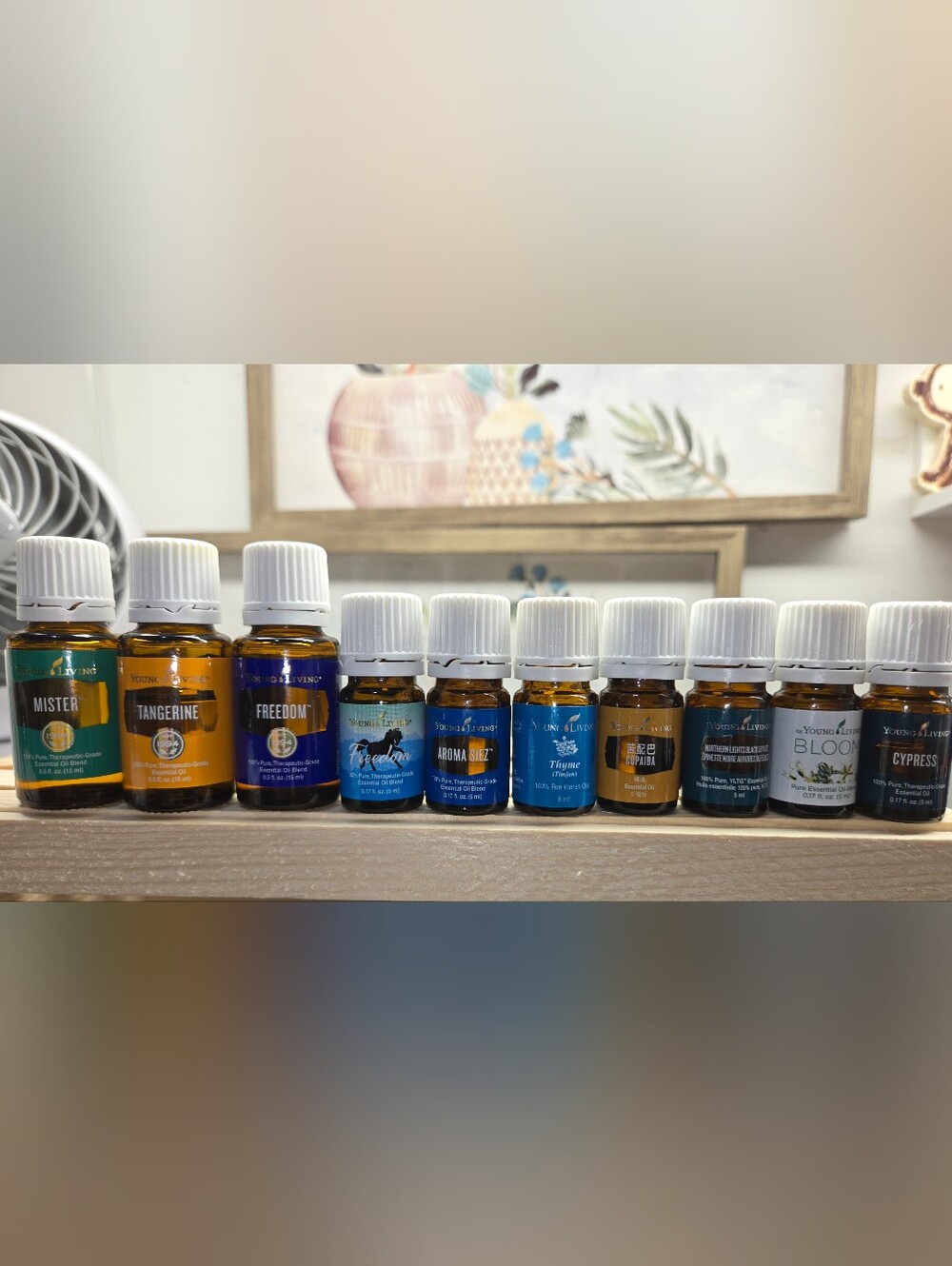 Young Living Essential Oils Set